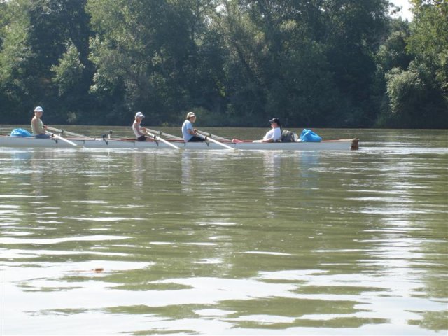 DSC05767 (Medium)